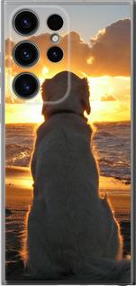 Чехол на Samsung Galaxy S24 Ultra Закат и собака