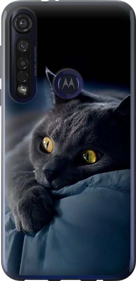 Чехол на Motorola G8 Plus Дымчатый кот