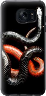 Чехол на Samsung Galaxy S7 Edge G935F Красно-черная змея на черном фоне