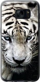 Чехол на Samsung Galaxy S7 G930F Грустный белый тигр