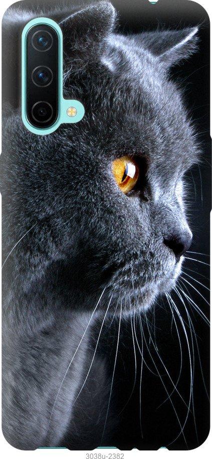 Чехол на OnePlus Nord CE Красивый кот