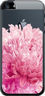 Чехол на iPhone SE Хризантема