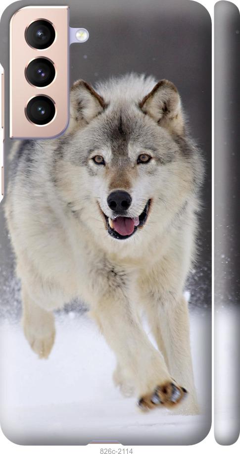 Чехол на Samsung Galaxy S21 Бегущий волк