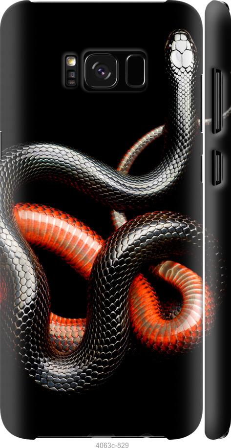 Чехол на Samsung Galaxy S8 Красно-черная змея на черном фоне
