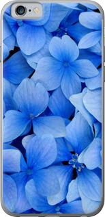 Чехол на iPhone 6s Синие цветы