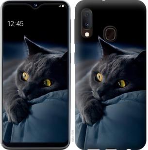 Чехол на Samsung Galaxy A20e A202F Дымчатый кот