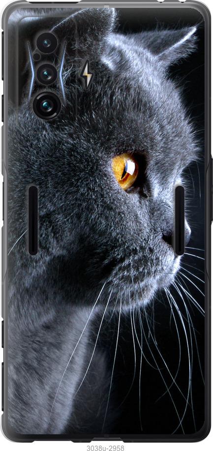 Чехол на Xiaomi Poco F4 GT Красивый кот