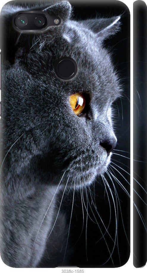 Чехол на Xiaomi Mi 8 Lite Красивый кот