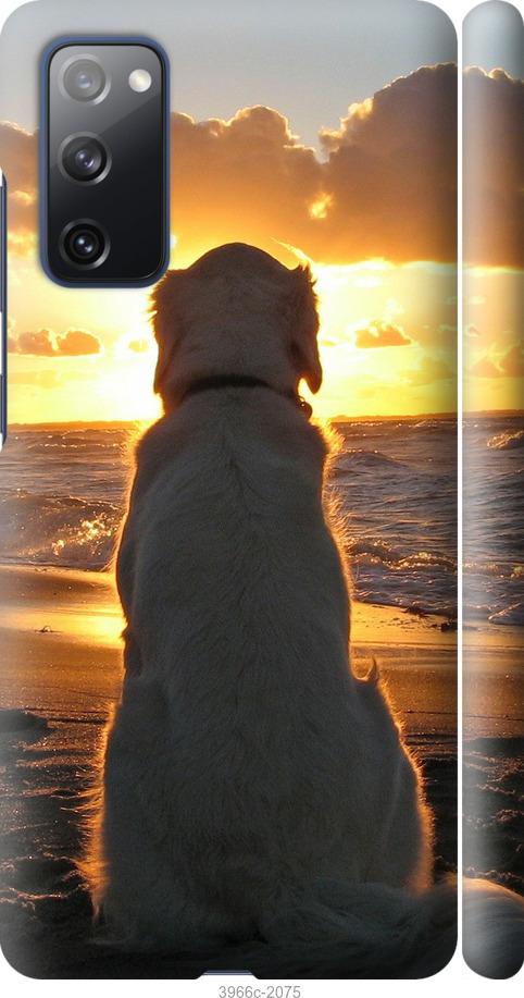 Чехол на Samsung Galaxy S20 FE G780F Закат и собака