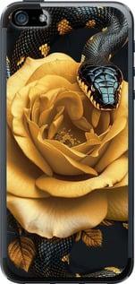 Чехол на iPhone SE Black snake and golden rose