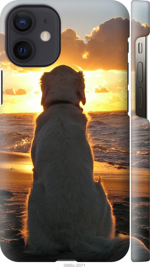 Чехол на iPhone 12 Mini Закат и собака