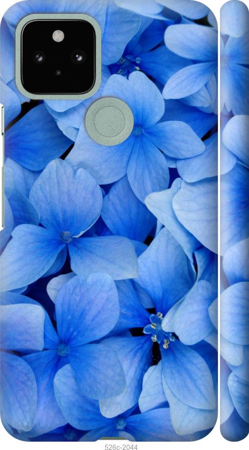 Чехол на Google Pixel 5 Синие цветы