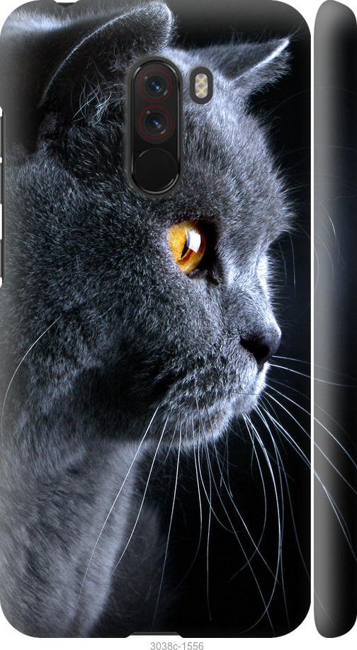 Чехол на Xiaomi Pocophone F1 Красивый кот