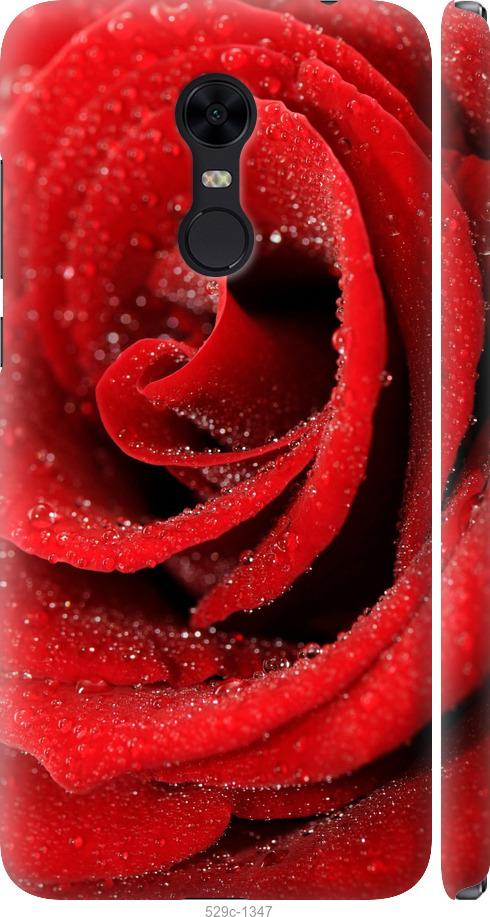 Чехол на Xiaomi Redmi 5 Plus Красная роза