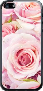 Чехол на iPhone SE Розы