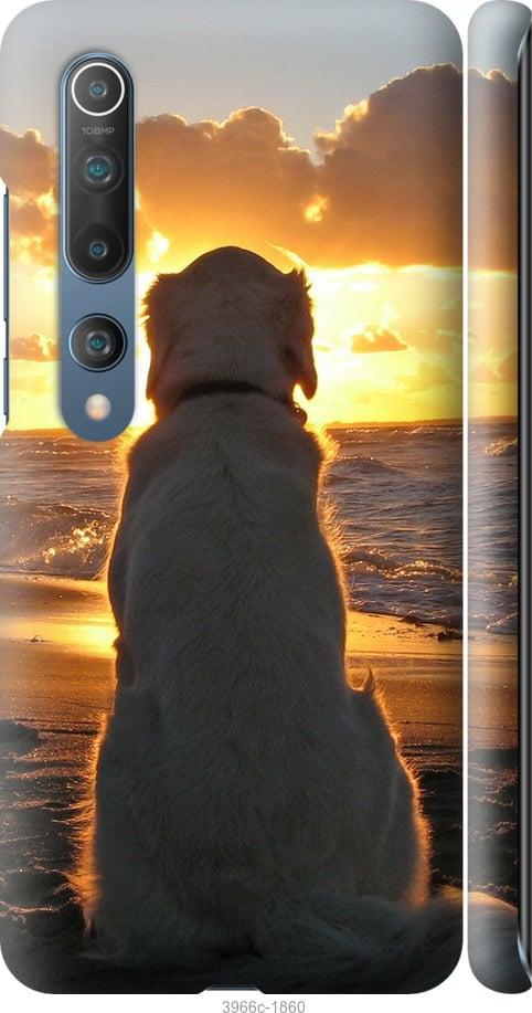 Чехол на Xiaomi Mi 10 Закат и собака