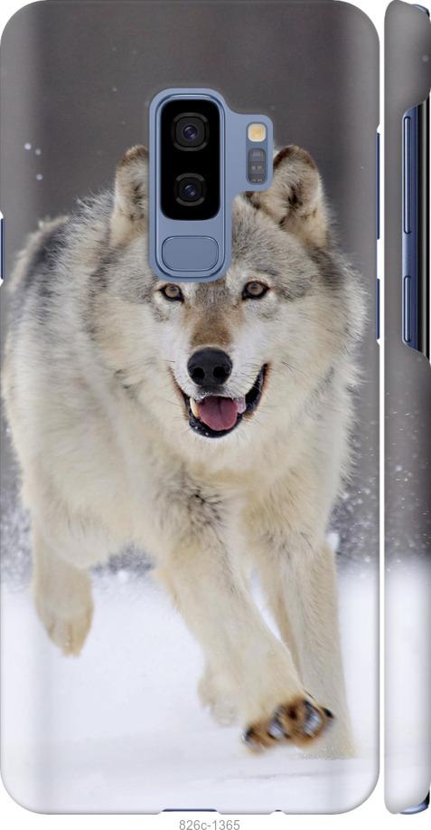 Чехол на Samsung Galaxy S9 Plus Бегущий волк