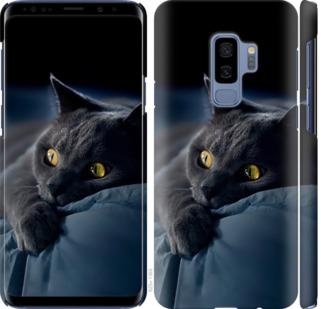 Чехол на Samsung Galaxy S9 Plus Дымчатый кот