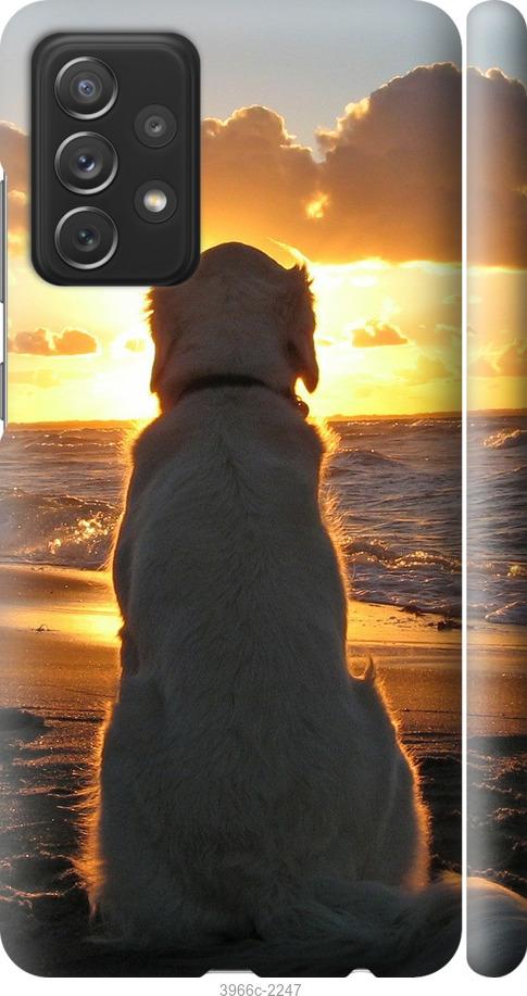 Чехол на Samsung Galaxy A72 A725F Закат и собака