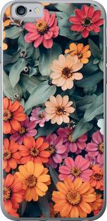 Чехол на iPhone 6s Beauty flowers