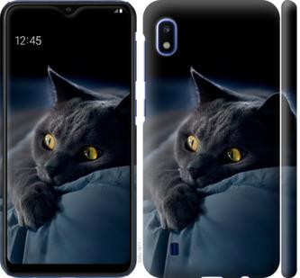 Чехол на Samsung Galaxy A10 2019 A105F Дымчатый кот