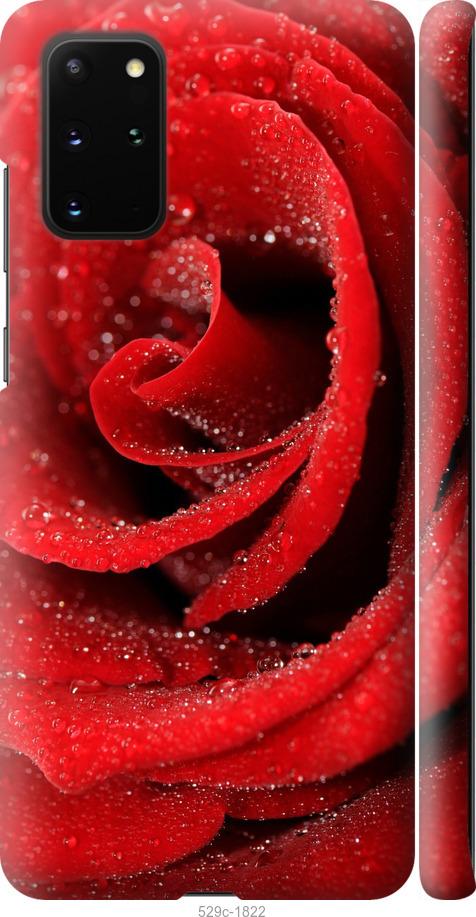 Чехол на Samsung Galaxy S20 Plus Красная роза