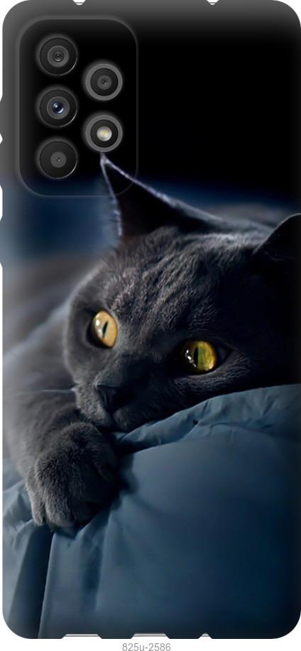 Чехол на Samsung Galaxy A73 A736B Дымчатый кот