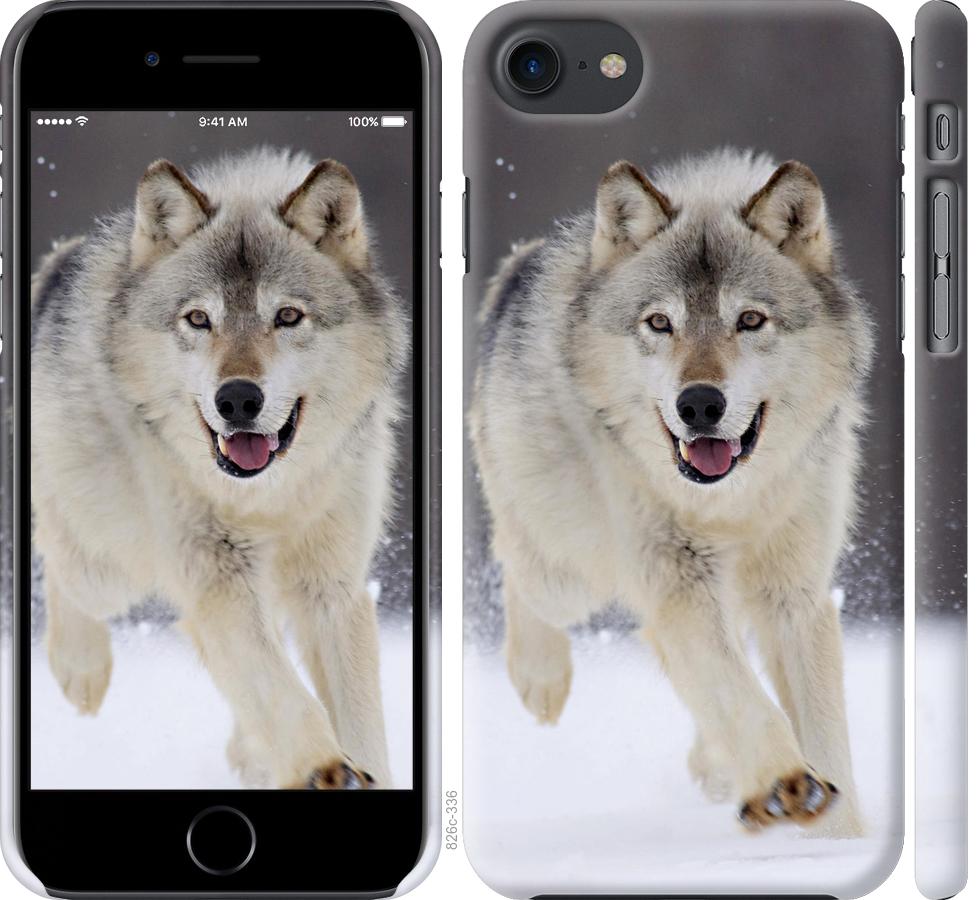 Чехол на iPhone 7 Бегущий волк