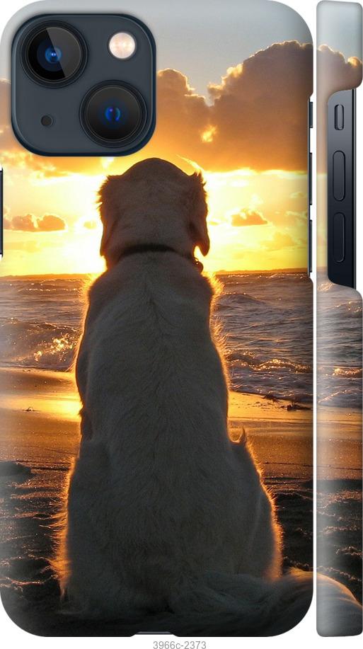 Чехол на iPhone 13 Mini Закат и собака