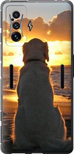 Чехол на Xiaomi Poco F4 GT Закат и собака