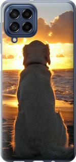Чехол на Samsung Galaxy M53 M536B Закат и собака