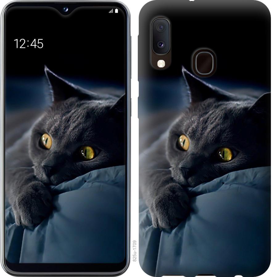 Чехол на Samsung Galaxy A10s A107F Дымчатый кот