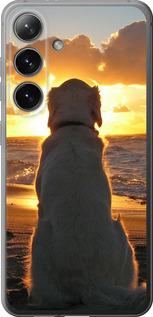 Чехол на Samsung Galaxy S24 Закат и собака