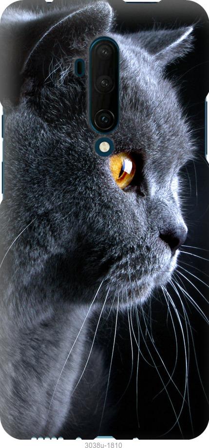 Чехол на OnePlus 7T Pro Красивый кот