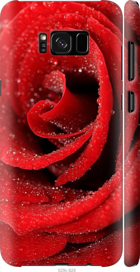 Чехол на Samsung Galaxy S8 Красная роза