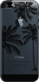 Чехол на iPhone SE Пальмы1