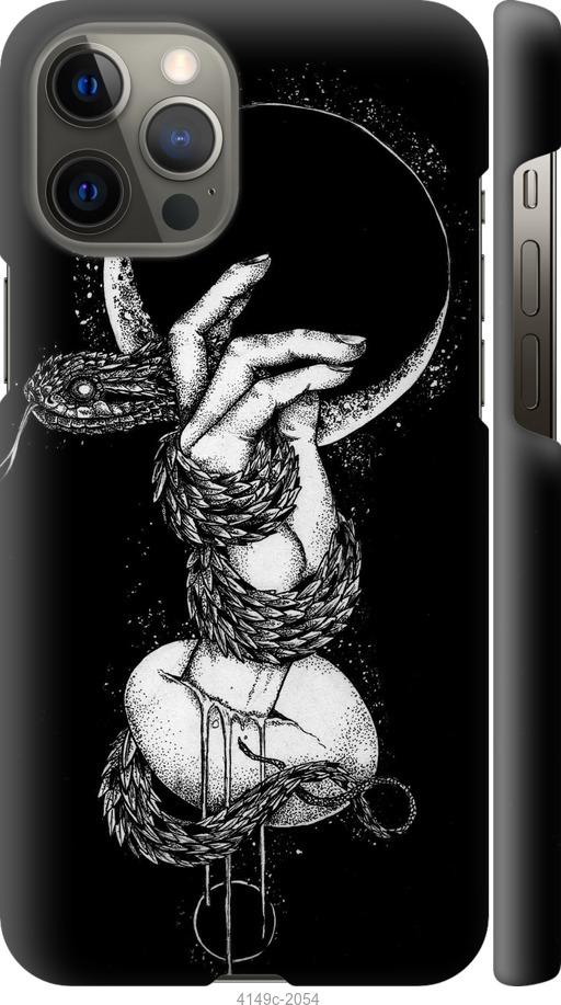 Чехол на iPhone 12 Pro Max Змея в руке