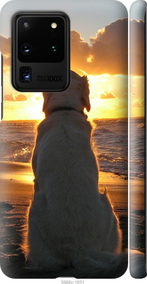 Чехол на Samsung Galaxy S20 Ultra Закат и собака