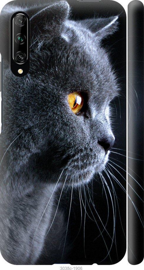 Чехол на Huawei P Smart Pro Красивый кот