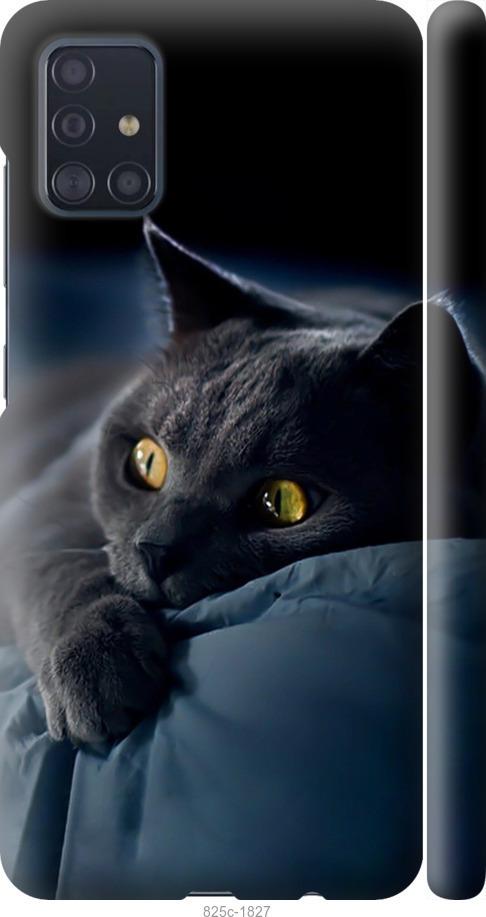 Чехол на Samsung Galaxy M31s M317F Дымчатый кот
