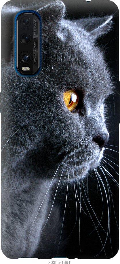 Чехол на Oppo Find X2 Красивый кот