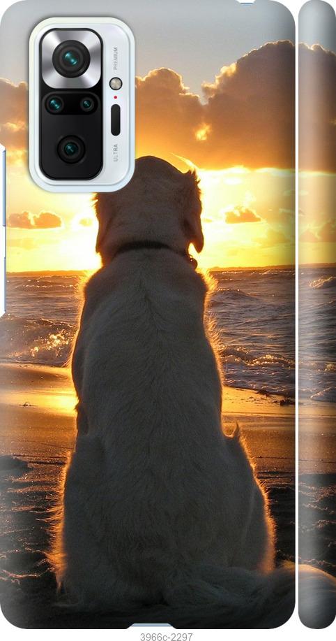 Чехол на Xiaomi Redmi Note 10 Pro Закат и собака