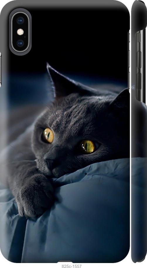 Чехол на iPhone XS Max Дымчатый кот