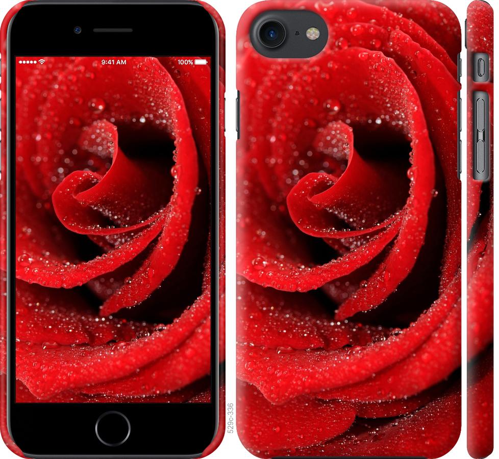 Чехол на iPhone 7 Красная роза