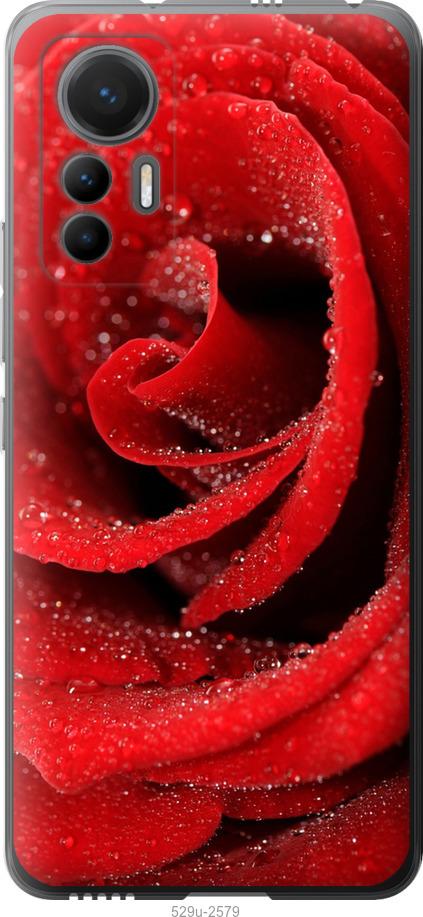 Чехол на Xiaomi 12 Lite Красная роза
