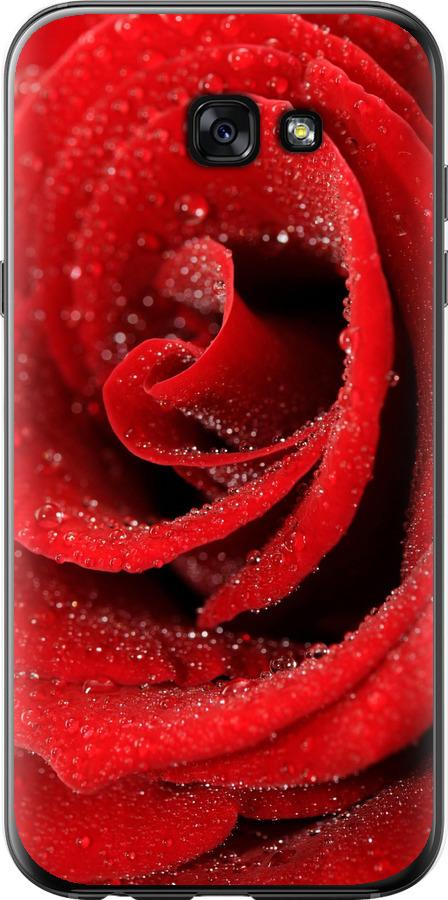 Чехол на Samsung Galaxy A7 (2017) Красная роза