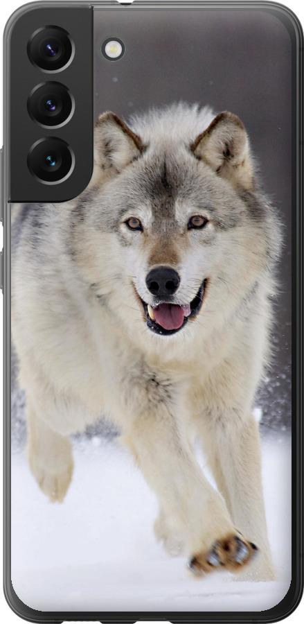 Чехол на Samsung Galaxy S22 Plus Бегущий волк