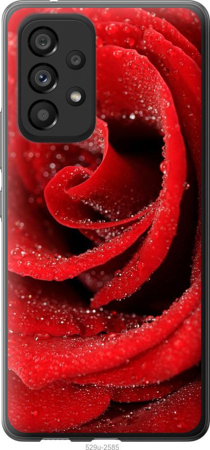 Чехол на Samsung Galaxy A53 A536E Красная роза