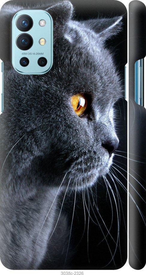 Чехол на OnePlus 9R Красивый кот