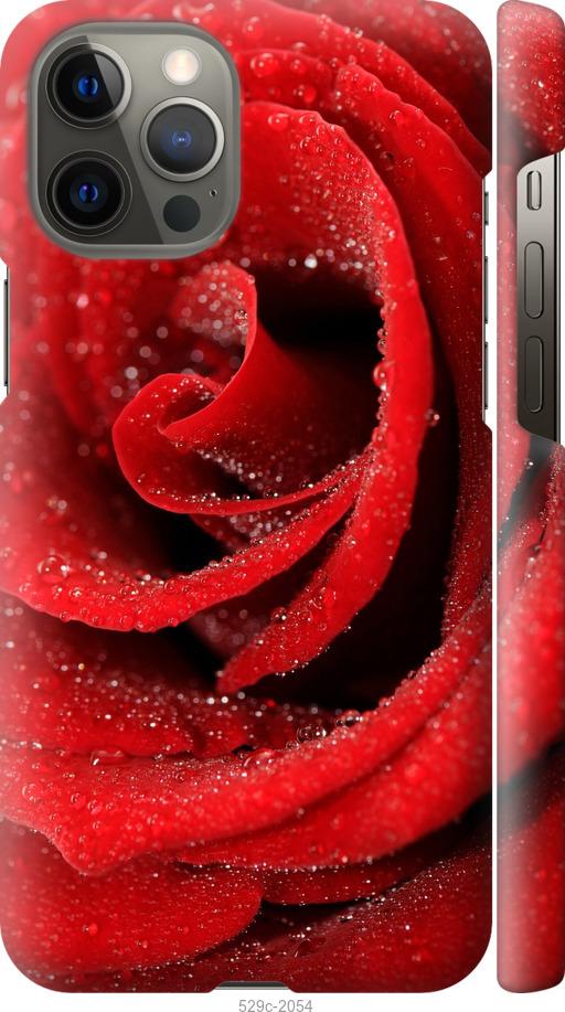 Чехол на iPhone 12 Pro Max Красная роза
